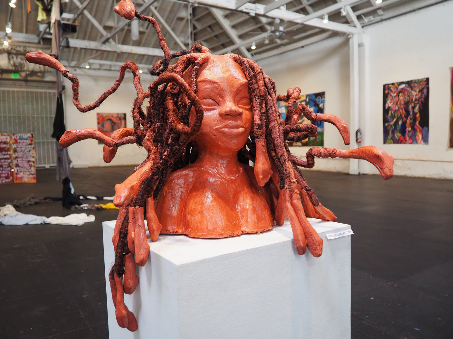 Disorganizedcreation - Medusa