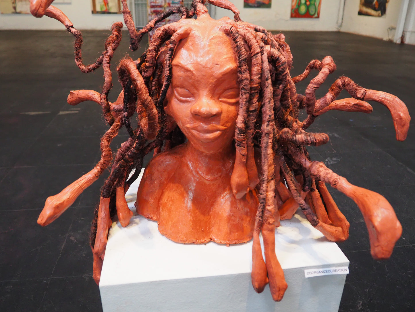 Disorganizedcreation - Medusa