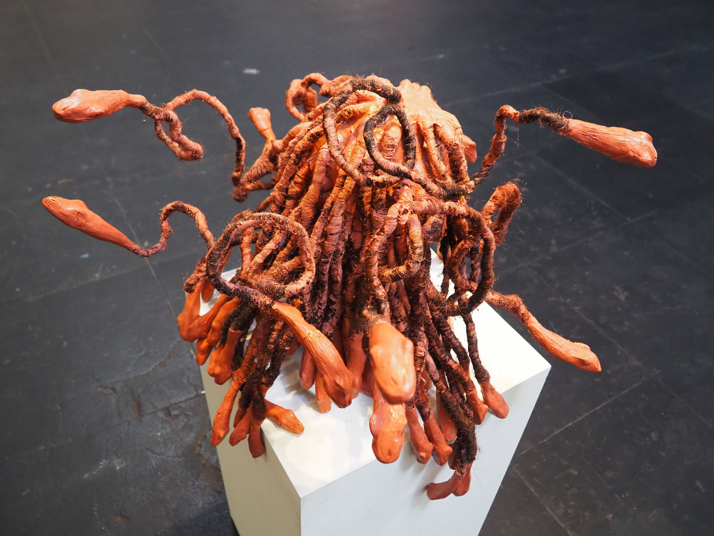 Disorganizedcreation - Medusa