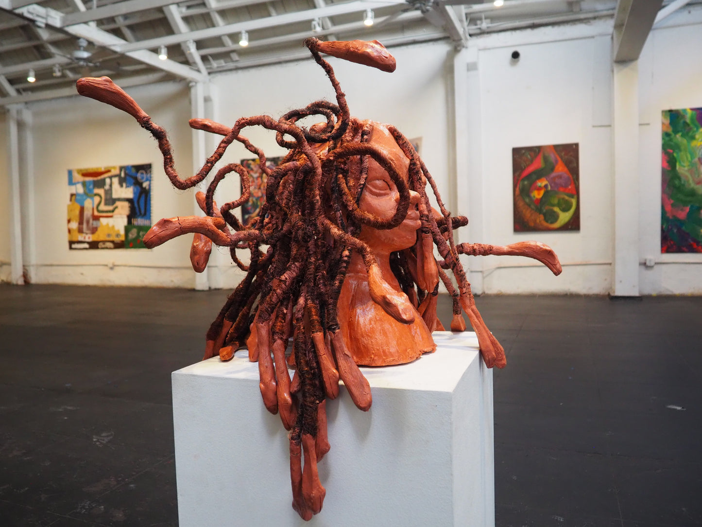 Disorganizedcreation - Medusa