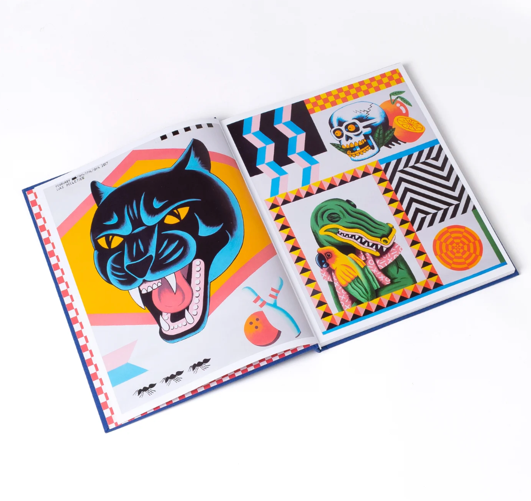American Fizzle Book