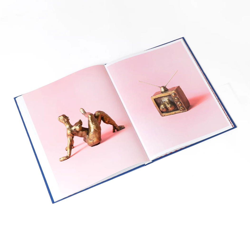 American Fizzle Book