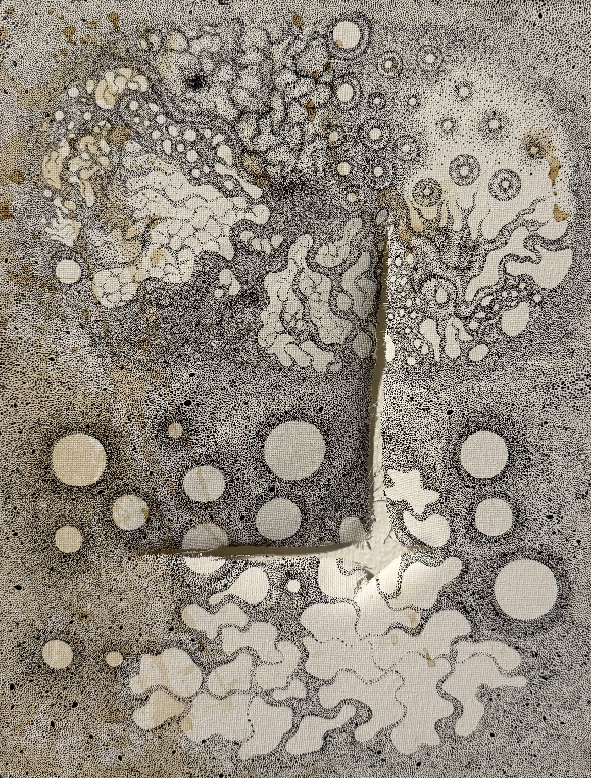 Sheylin Morales - "Impurity and Mutiny"