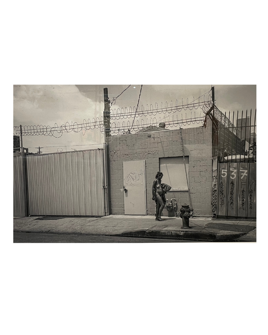 Suitcase Joe - "Untitled"