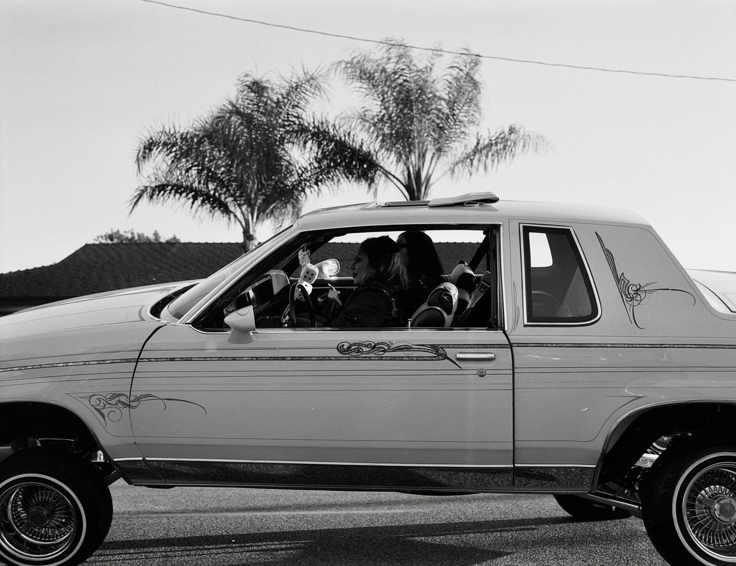 Film Vida
