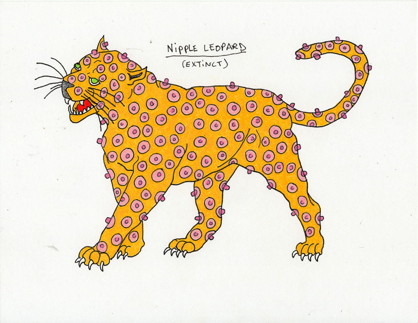 Porous Walker - "Nipple Leopard"