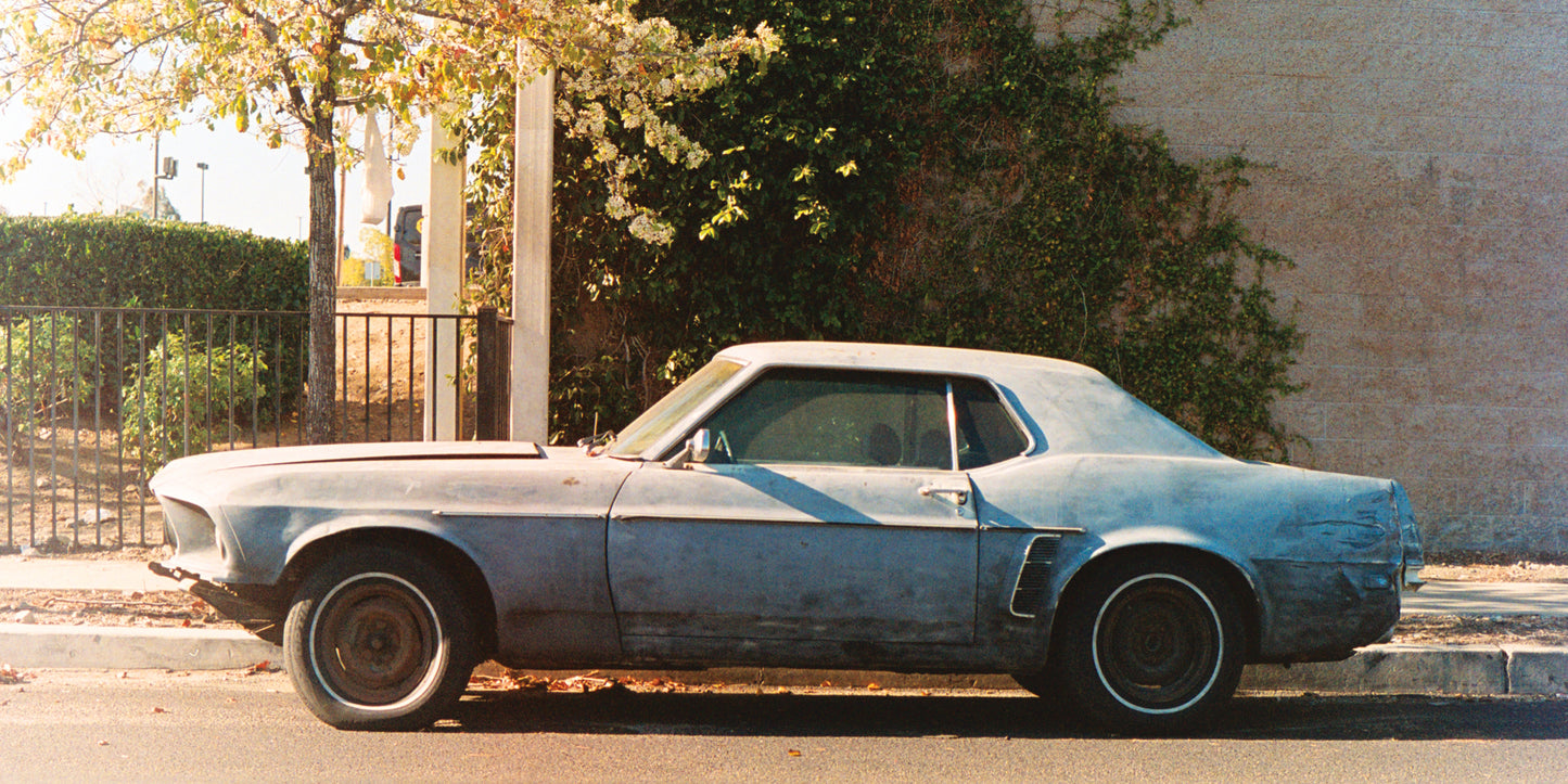Chris Wolford - Alameda