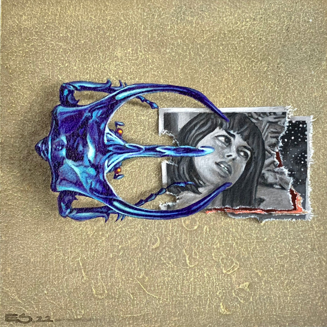 ESK31 - Concrete, Beetle, Paper