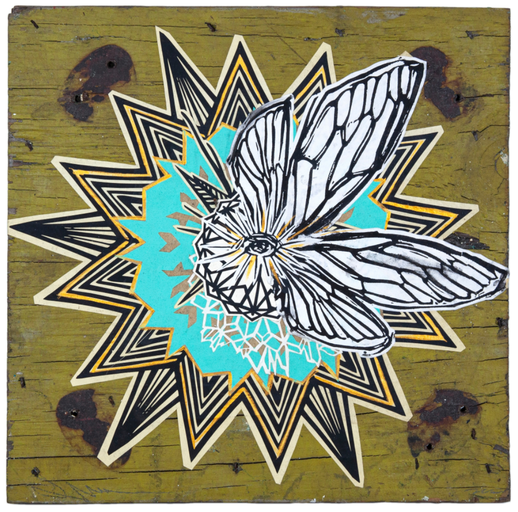 Swoon - Cicada Wing Seraph