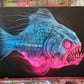 Chad Keith - Killer Fish 3
