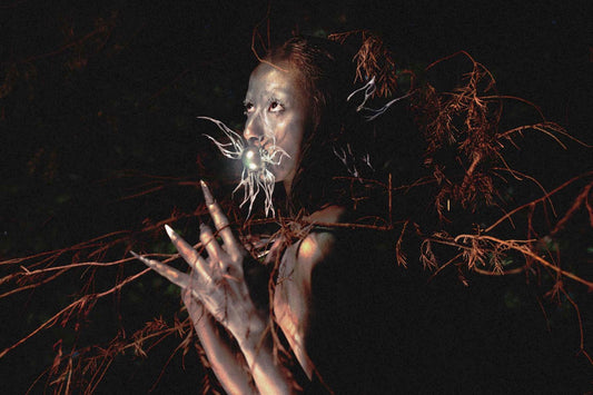 Leïla Belaïd	Nocturnal Jungle 3