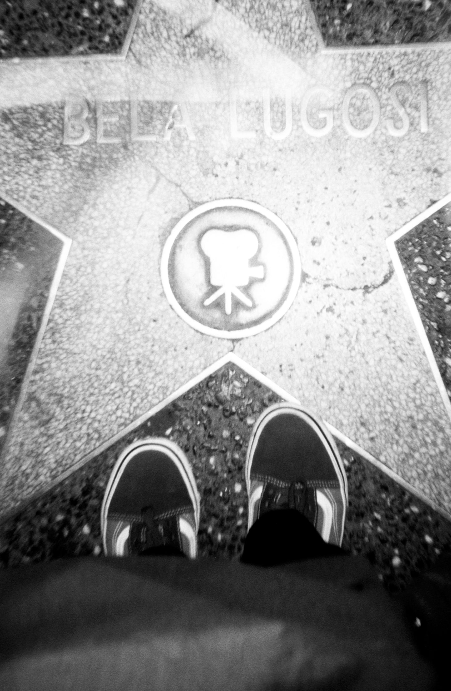 Valerie J. Bower - "Bela Lugosi's Star"