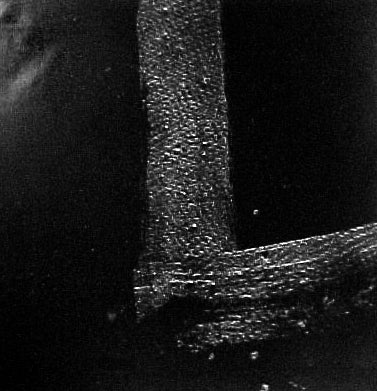 Aaron Siskind - Rome 2