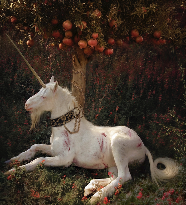 ANTON ALEKSEEV (KETZAL_COATL - The Unicorn in Captivity