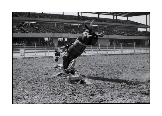 California Rodeo by Lynn Mattocks presented by Marissa Gonzales - Bareback Rider - San Juan Bautista 1971